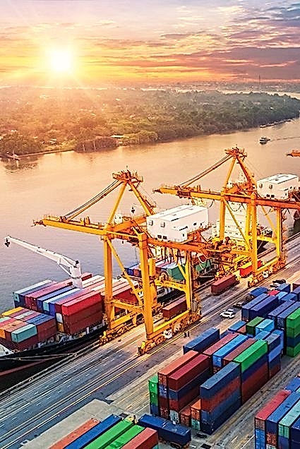 İhracat ve İthalat Danışmanlığı