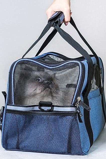 Evcil Hayvan Transferi